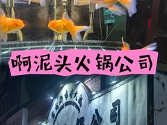 -老成都市井火锅阿泥頭火锅公司(海宁长安佳源中心广场店)