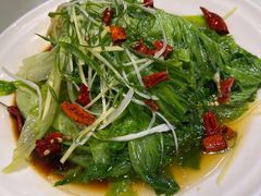 白灼罗马生菜-鲜得莱渔港·小平岛海胆馆(七贤岭店)