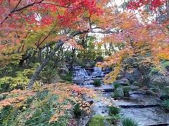 -有栖山 清光院 清水寺