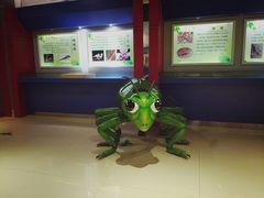 -上海昆虫博物馆