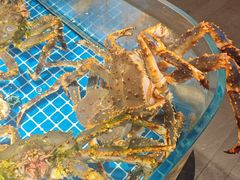 -连鹭海鲜·海肠捞饭·海胆饭(星海店)