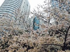 -玛格萝妮比萨屋(四平店)