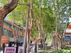 -西安电影制片厂