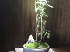 -九福楼大酒店
