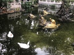 -国恩寺