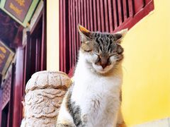 -西园戒幢律寺