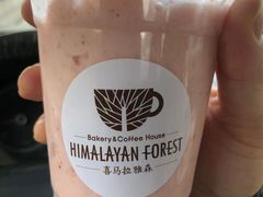 -喜马拉雅森HIMALAYAN FOREST