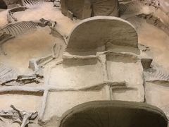 -洛阳周王城天子驾六博物馆