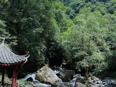 -西岭雪山大飞水景区