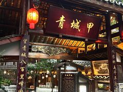 -青城甲(青城山店)