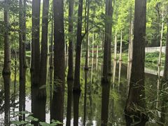 -波尔登森林公园