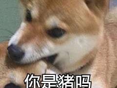 -全乐鱼馆·淳牌有机鱼直营店