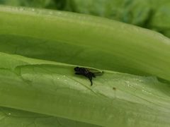 -马记伊源斋涮肉·清真菜(百子湾店)