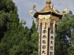 -庐山风景名胜区-东林大佛