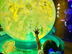 -正佳极地海洋世界
