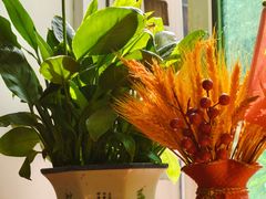 -贵州沾水米线(学田湾店)