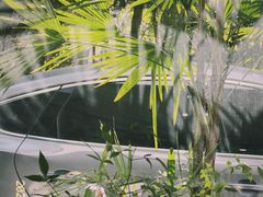 -陈老斯的店(南京大学店)