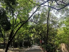 -广州市白云山风景名胜区