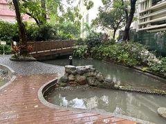 -香港大学