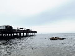 -北戴河碧螺塔海上酒吧公园