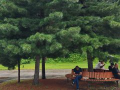 -五营红松林海景区