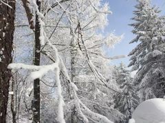 -雪谷