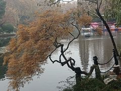 -J Create城市露营咖啡·简餐·宠物(上海动物园店)