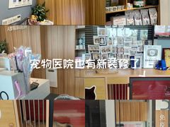 -御宝贝·A梦猫科宠物医院(国际猫友好医院)
