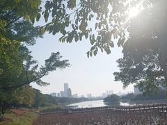 -南宁南湖公园