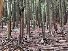 -龙宫洞风景区