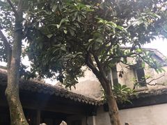 -小雅青年旅舍(平江路店)
