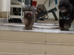 -YCHL Studios健身工作室(市二宫店)