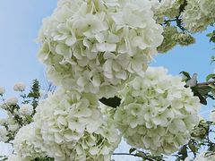 -大龙山(地铁站)