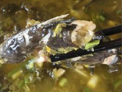 -胖大姐黄辣丁鱼庄(新津店)