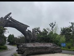 -广富林郊野公园