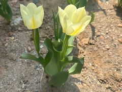 -清风小镇闯关东影视基地