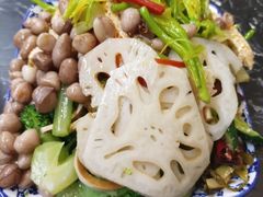 -后卫寨猫耳朵(后卫寨店)