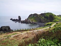 -涉地可支