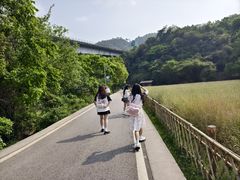 -贵阳市花溪国家城市湿地公园