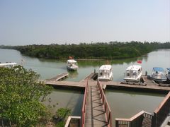 -东寨港红树林旅游区