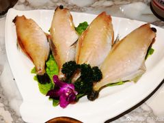 -杨家火锅(国美店)