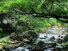 -广州市石门国家森林公园