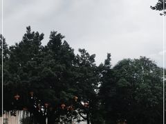 -伦教678文化街