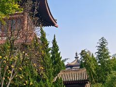 -法门文化景区