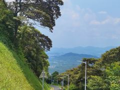 -黄埔油麻山森林公园