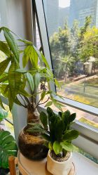 -初心はつ こころ日式美甲美睫沙龙