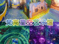 -梵高星空艺术馆(北京旗舰店)