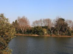 -黄海国家森林公园