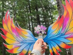 -峡谷浮石林景区