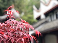 -岳麓书院